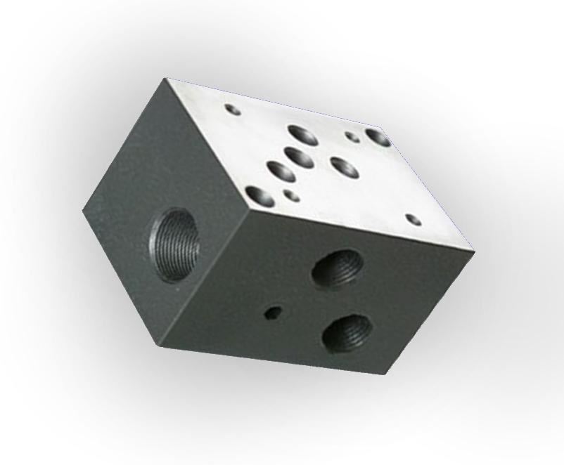 Manifold Block